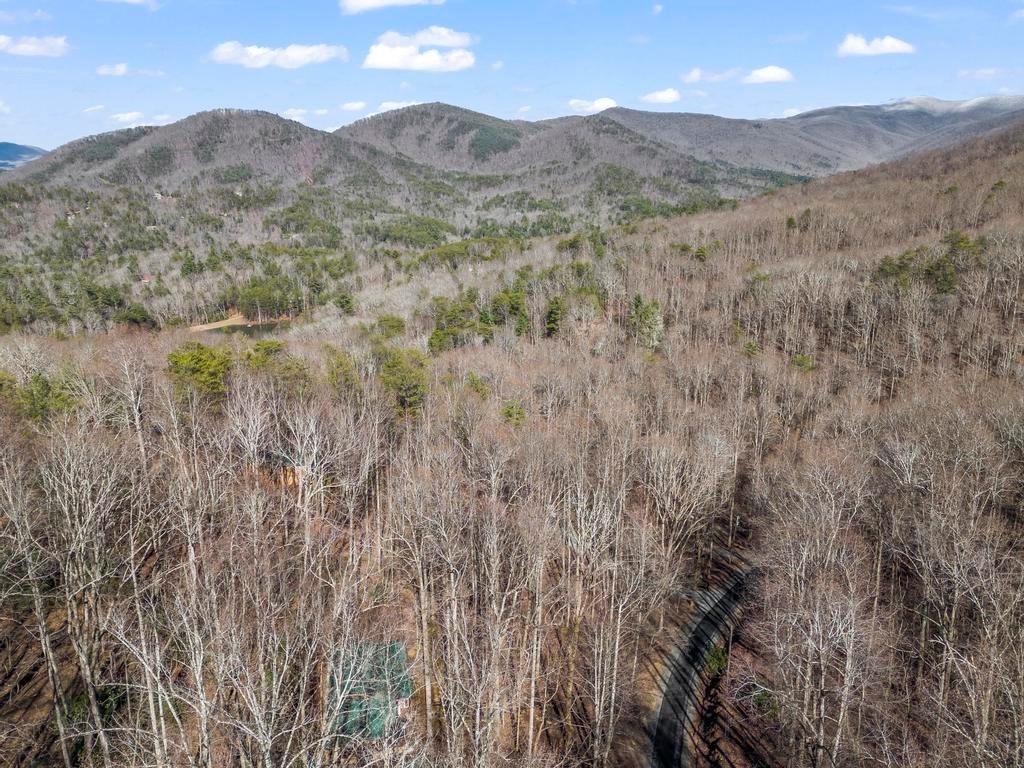 0 Sleepy Hollow Road Ellijay, GA 30536 - Photo 11 of 27