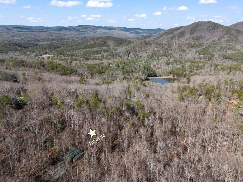 0 Sleepy Hollow Road Ellijay, GA 30536 - Photo 12 of 27