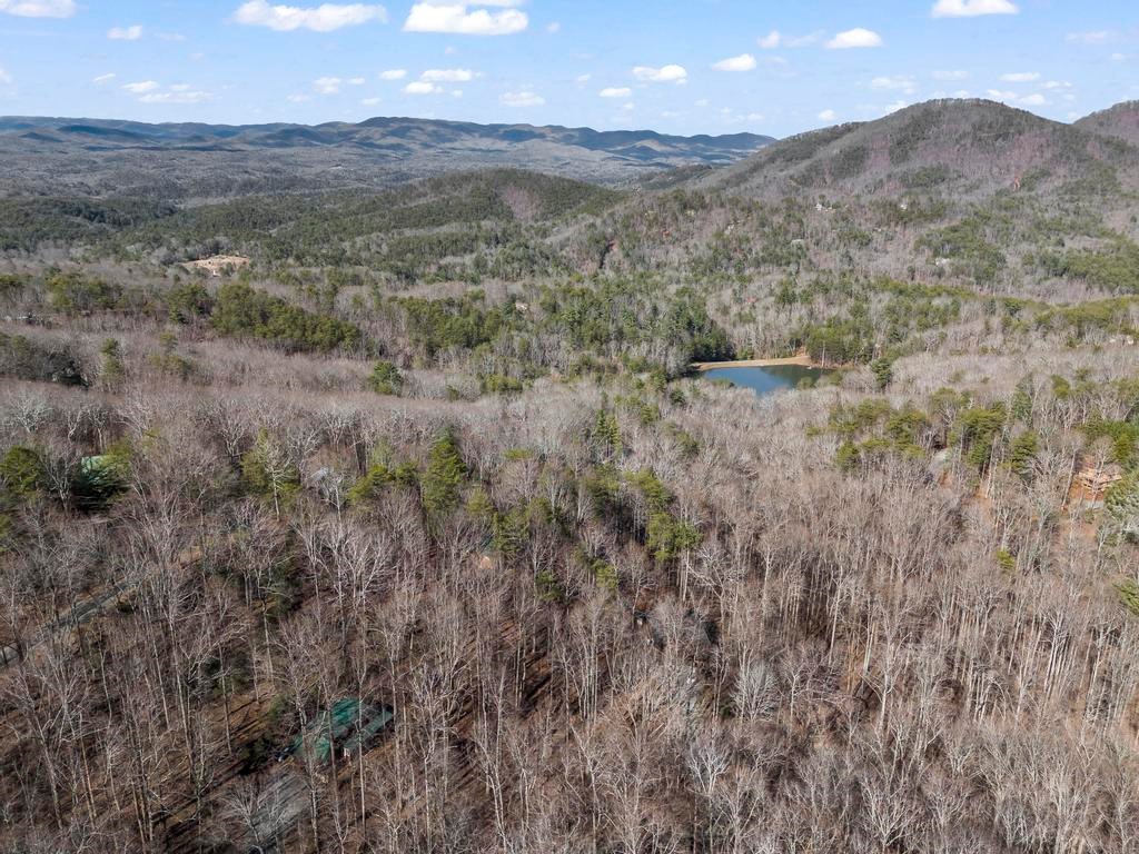 0 Sleepy Hollow Road Ellijay, GA 30536 - Photo 13 of 27