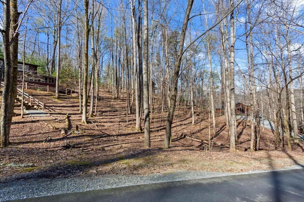0 Sleepy Hollow Road Ellijay, GA 30536 - Photo 2 of 27