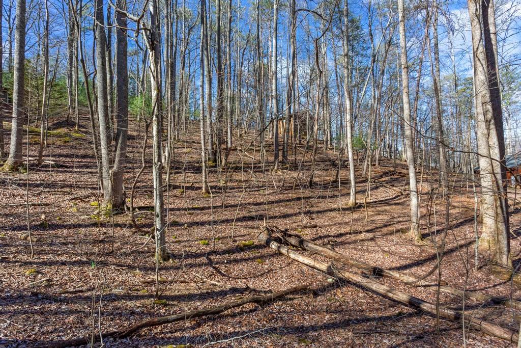 0 Sleepy Hollow Road Ellijay, GA 30536 - Photo 3 of 27