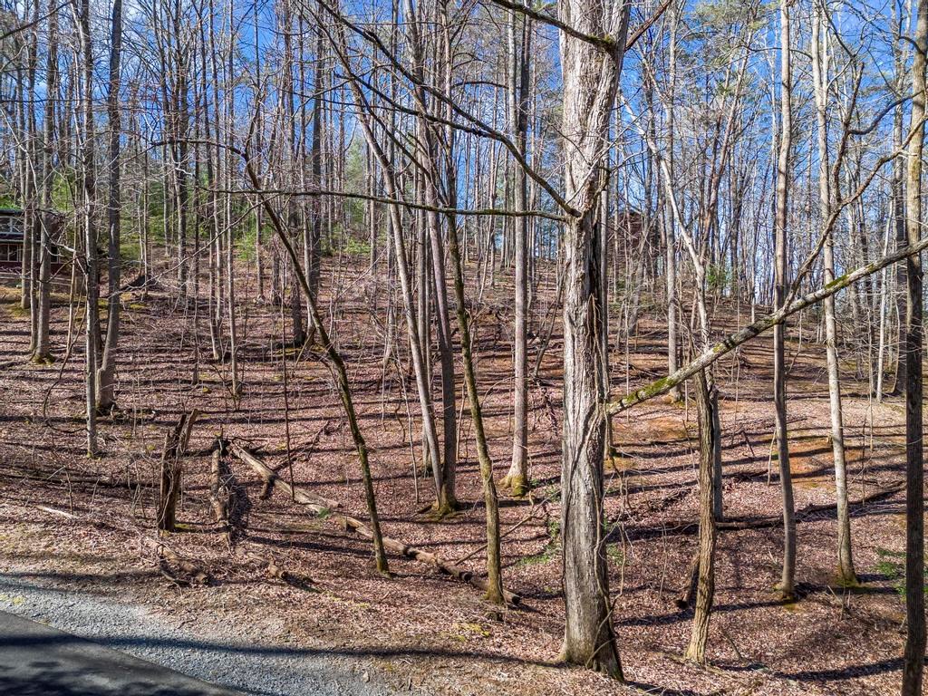 0 Sleepy Hollow Road Ellijay, GA 30536 - Photo 4 of 27