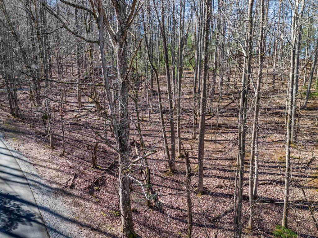 0 Sleepy Hollow Road Ellijay, GA 30536 - Photo 5 of 27