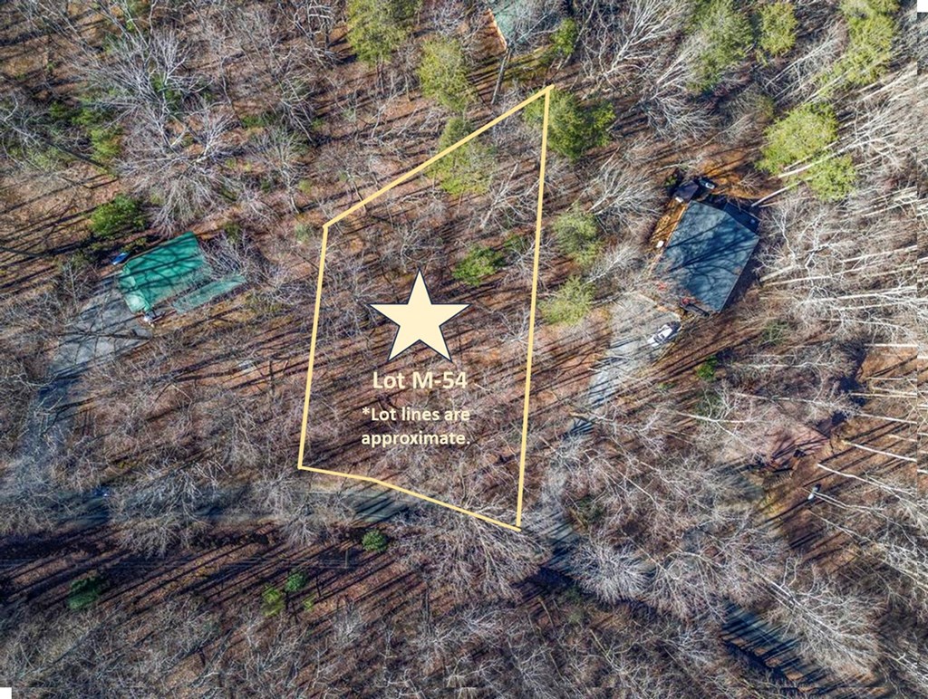 0 Sleepy Hollow Road Ellijay, GA 30536 - Photo 6 of 27