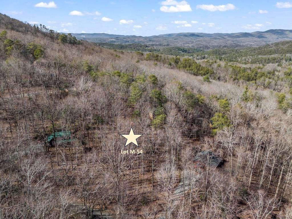 0 Sleepy Hollow Road Ellijay, GA 30536 - Photo 8 of 27