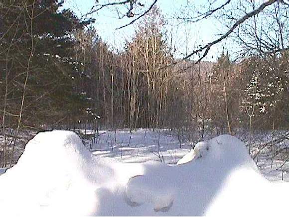 0 Newark Pond Road West Burke, VT 05867 - Photo 1 of 1 Gallery Image 1