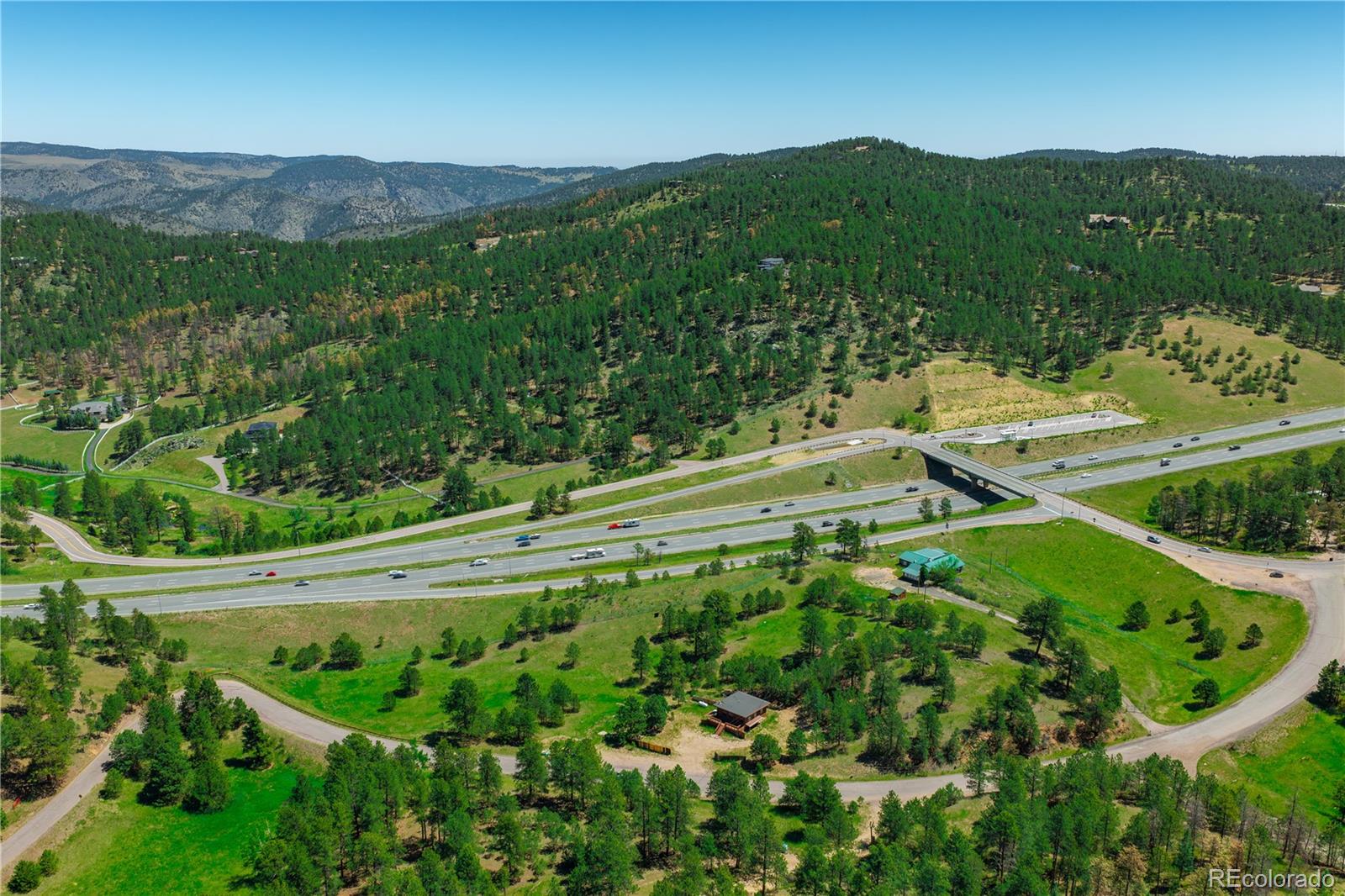 29793 Ruby Ranch Road Evergreen, CO 80439 - Photo 1 of 28 a view of a lush green field with lots of plants in it
