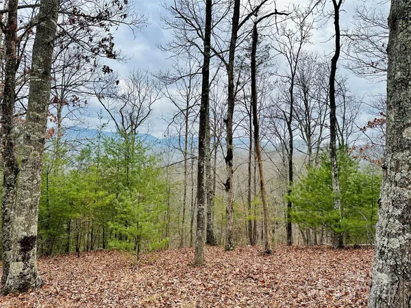 $155,000 | 275 Raccoon Run, Unit 24, Marshall, NC 28753