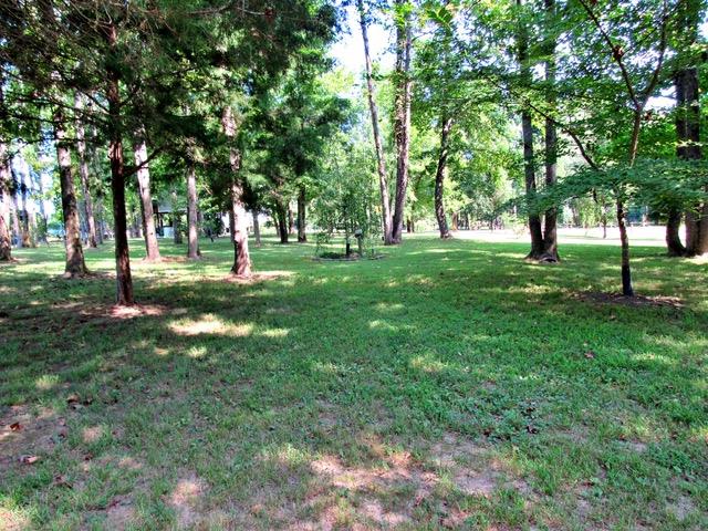 468 Dailey Loop Road Linden, TN 37096 - Photo 21 of 27 Gallery Image 21