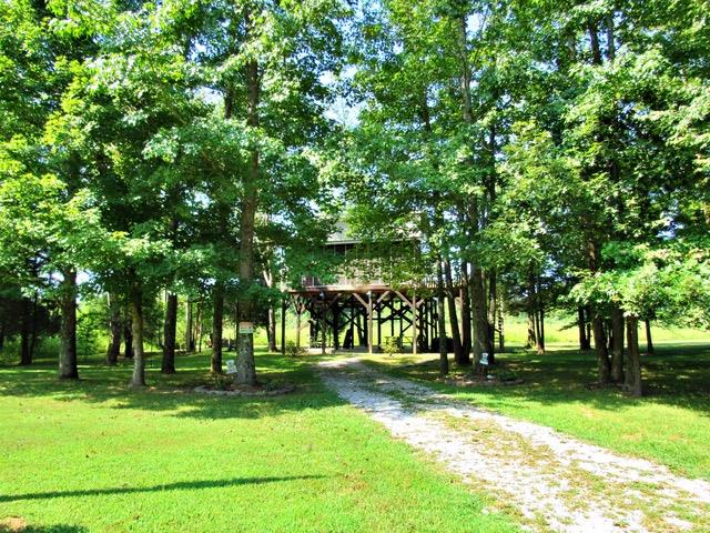 468 Dailey Loop Road Linden, TN 37096 - Photo 23 of 27 Gallery Image 23