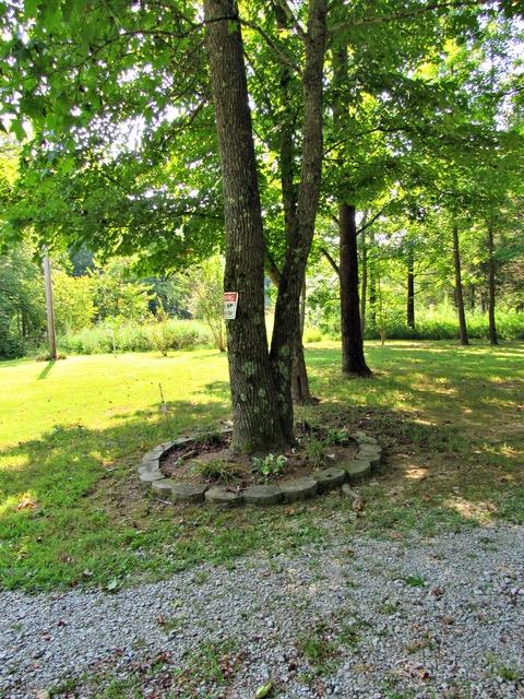 468 Dailey Loop Road Linden, TN 37096 - Photo 24 of 27 Gallery Image 24