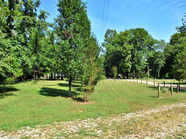 468 Dailey Loop Road Linden, TN 37096 - Photo 27 of 27 Gallery Image 27