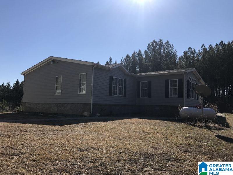 1046 Tom Cat Road Piedmont, AL 36272 - Photo 33 of 43