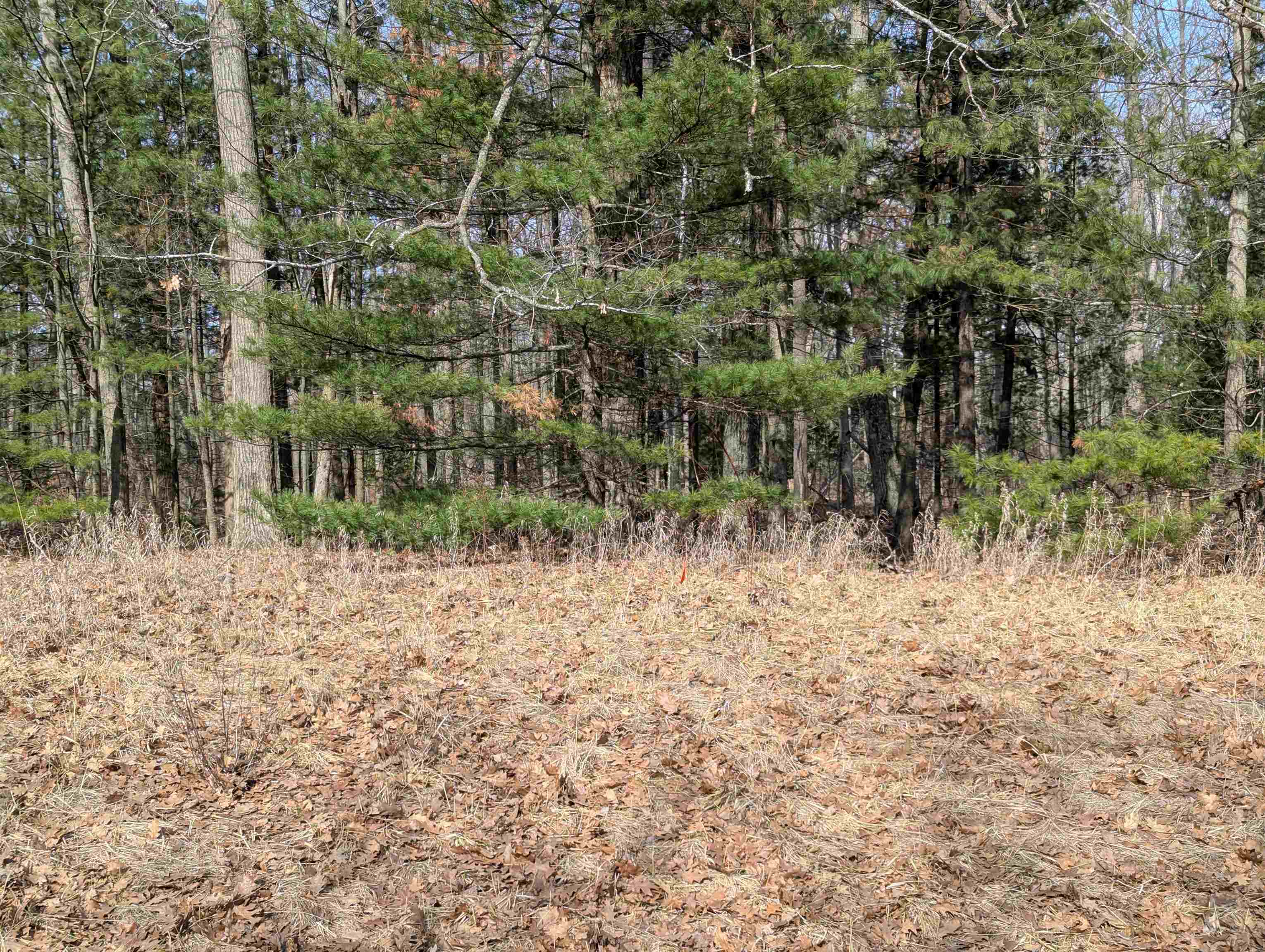 N/a South Huron Road Au Gres, MI 48703 - Photo 7 of 10