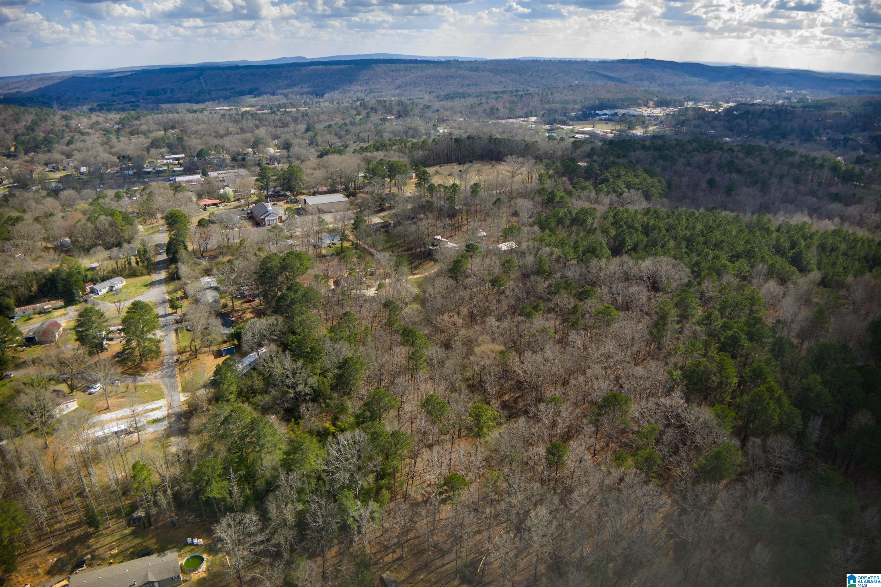 0 Norman Street Springville, AL 35146 - Photo 6 of 15