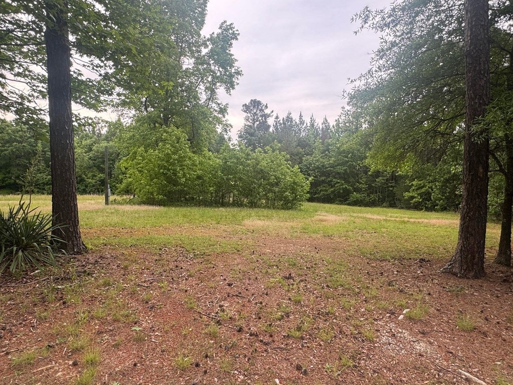 3361 Wilkerson Road, Unit 3 Skipwith, VA 23968 - Photo 3 of 6 Gallery Image 3