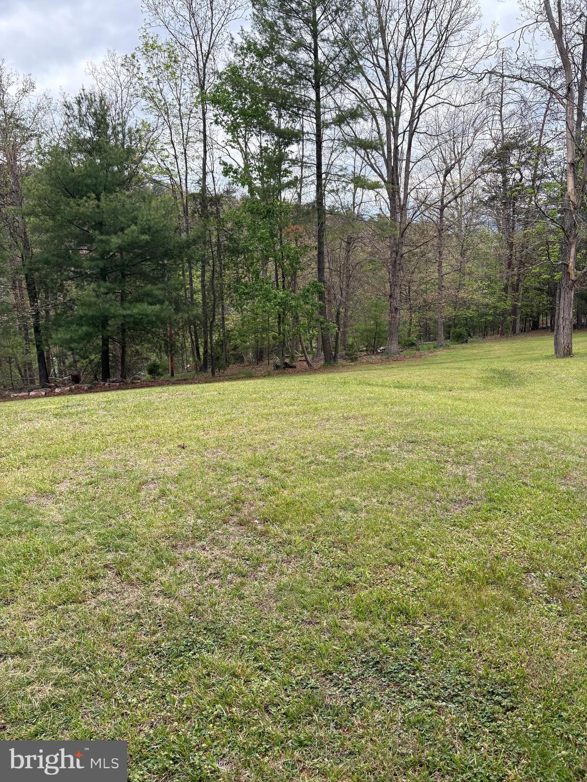 2865 Capon Springs Road High View, WV 26808 - Photo 26 of 34 a view of outdoor space with trees