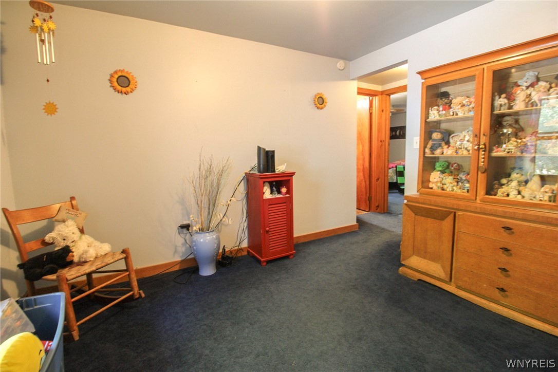 10246 Mill Road Ridgeway, NY 14103 - Photo 20 of 47
