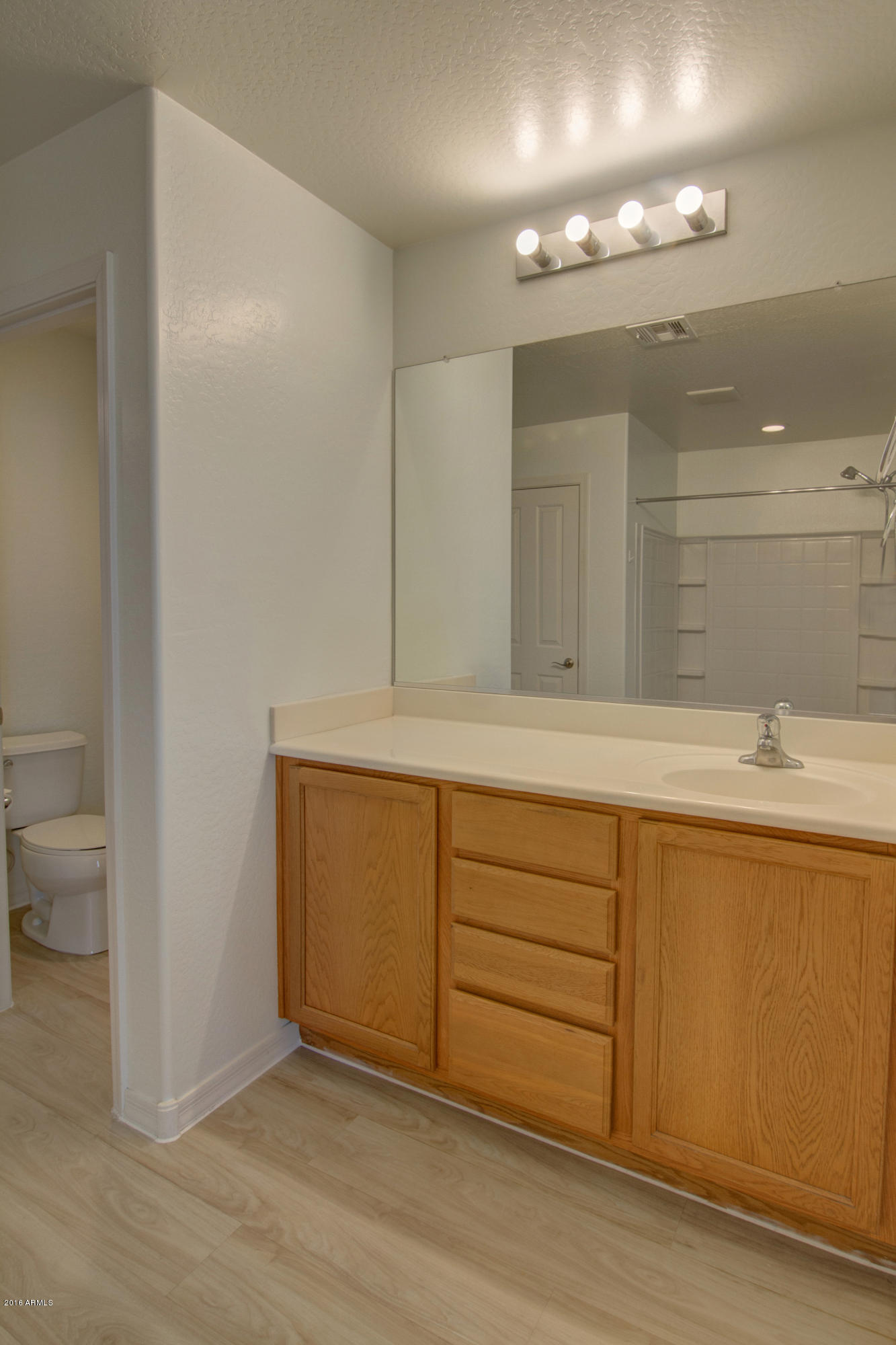 850 East Del Rio Street Chandler, AZ 85225 - Photo 31 of 42 Master Bath 1d