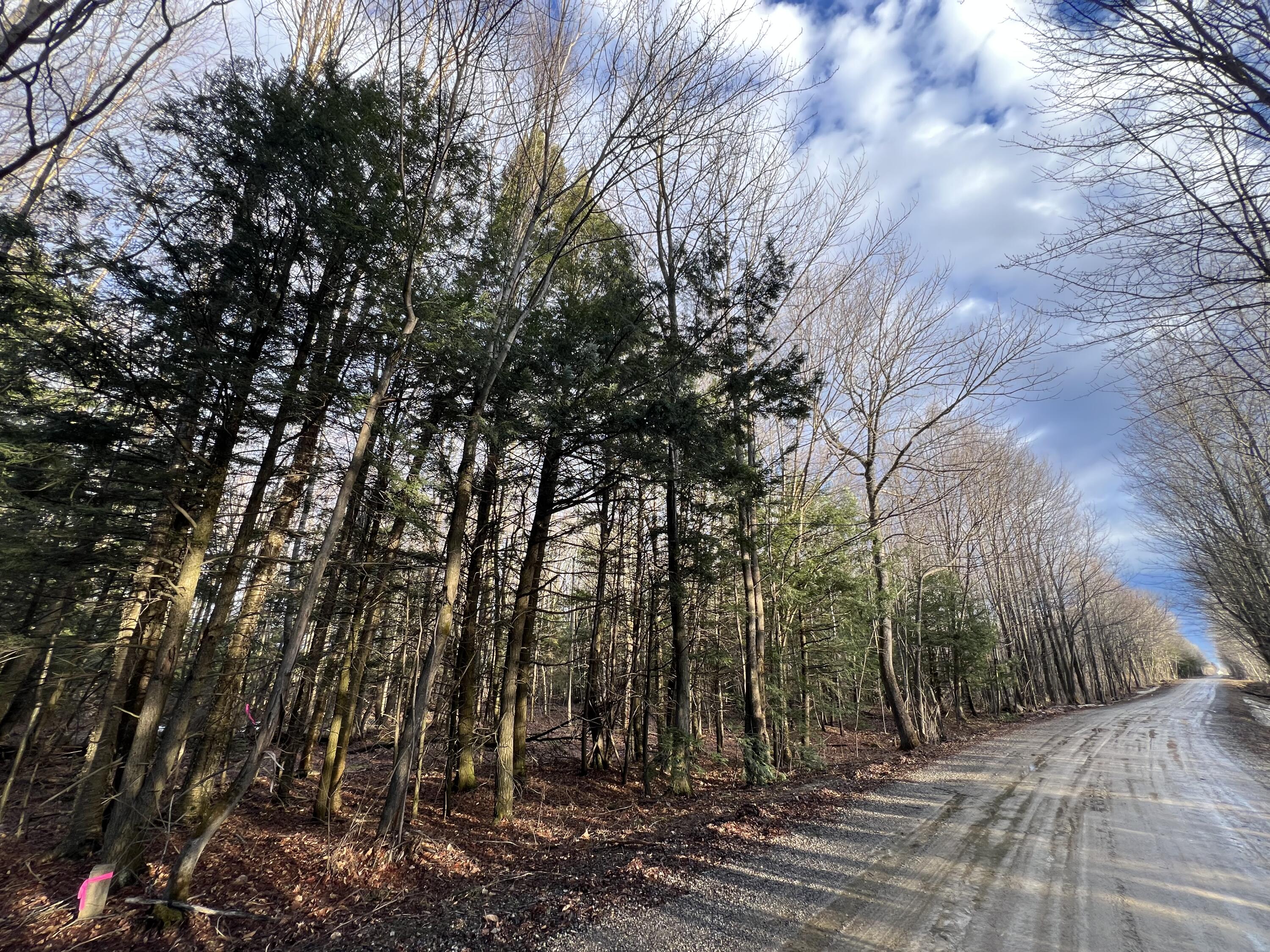 Lot #6 Commons Road Chateaugay, NY 12920 - Photo 2 of 8 IMG_9381