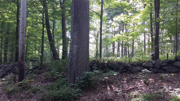 Lot 2 Davis Road West Brookfield, MA 01585 - Photo 1 of 3 Gallery Image 1