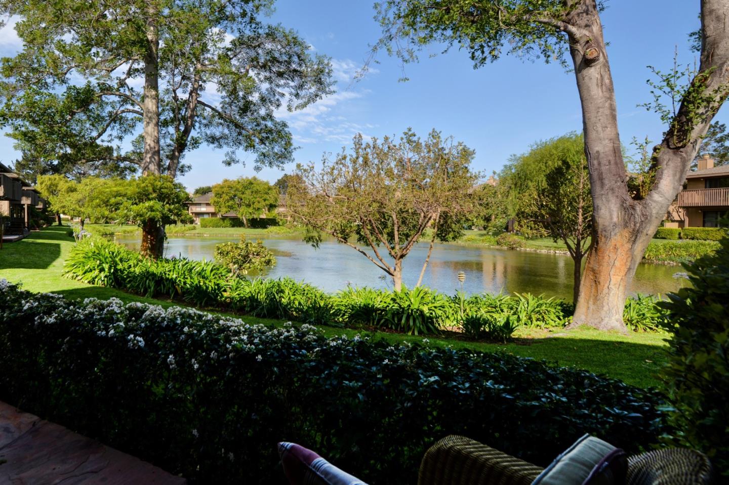 a view of a garden