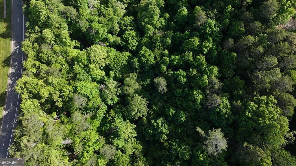 1 West Gum Log Road Warne, NC 28909 - Photo 3 of 26