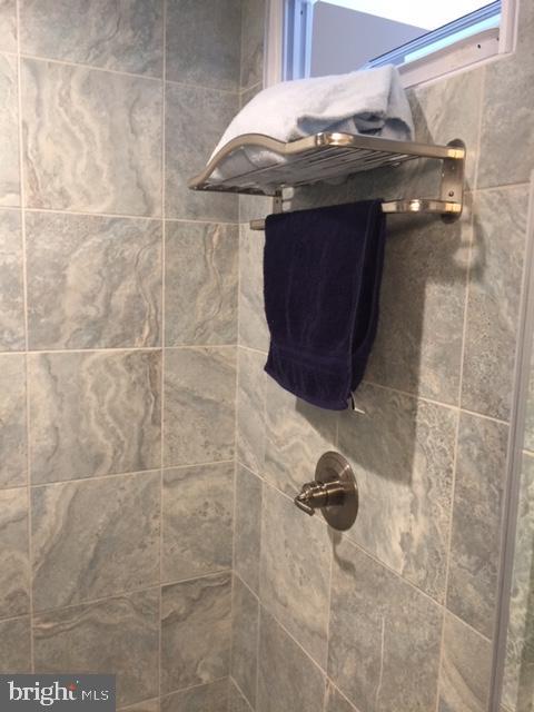 58 Home Road Hatboro, PA 19040 - Photo 37 of 50 Unique features in this shower.