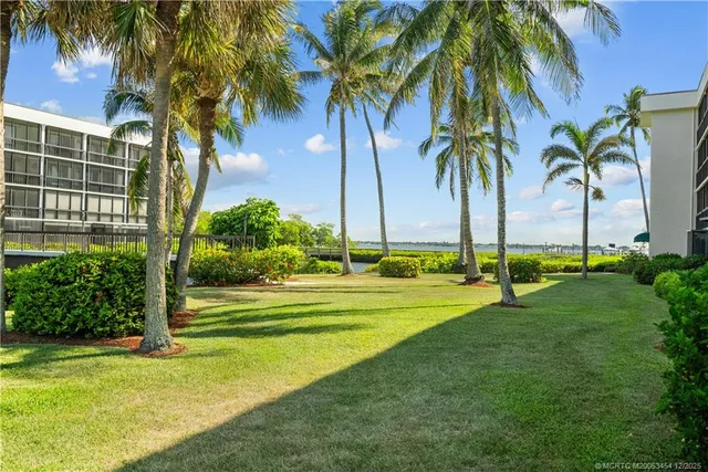 a view of a yard and palm trees
