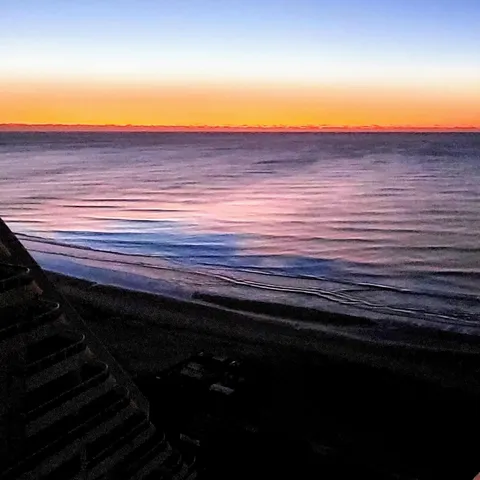 a lobby with furniture and a potted plant