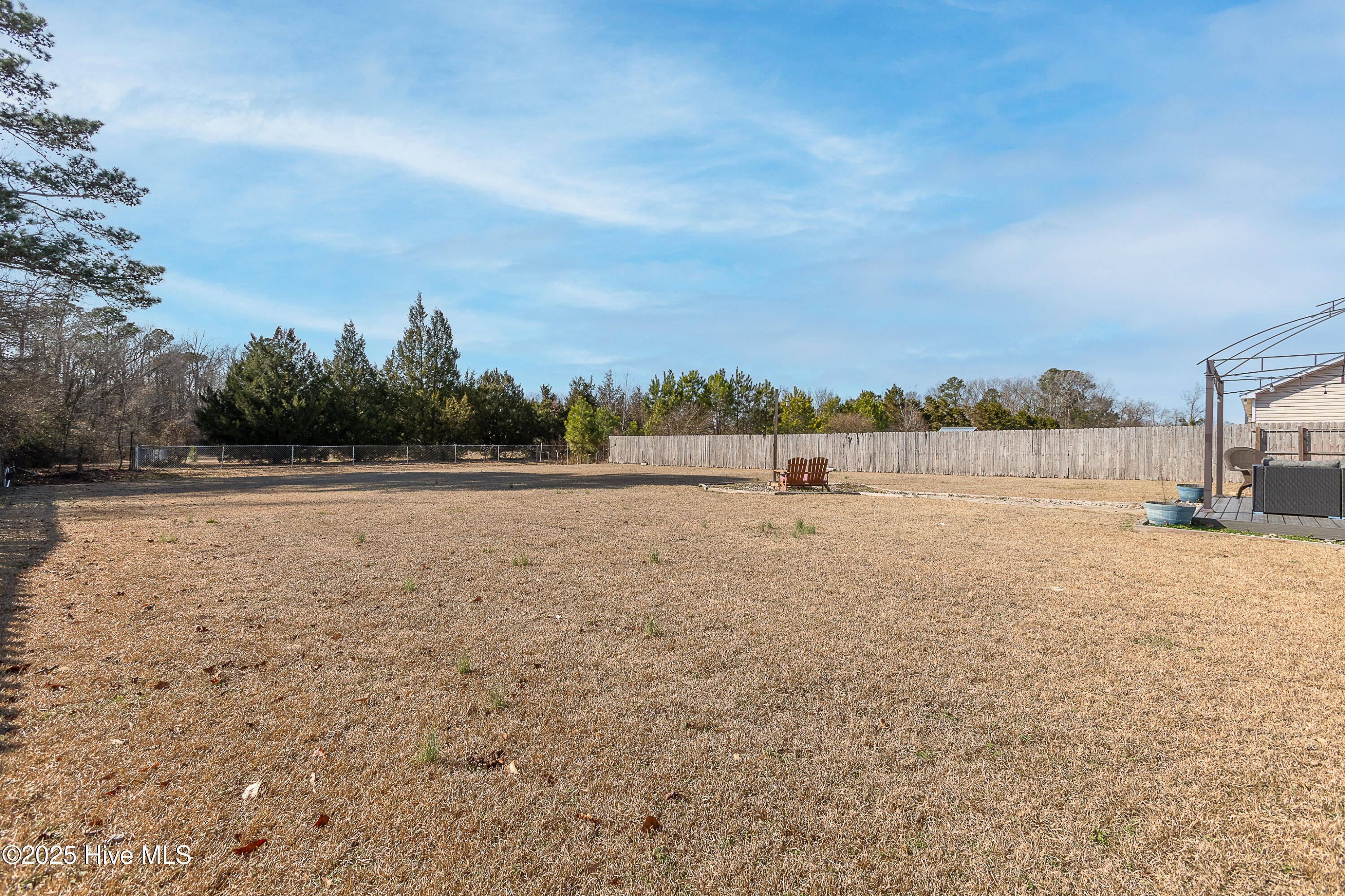124 Eagle Ridge Drive Beulaville, NC 28518 - Photo 18 of 26 19-11