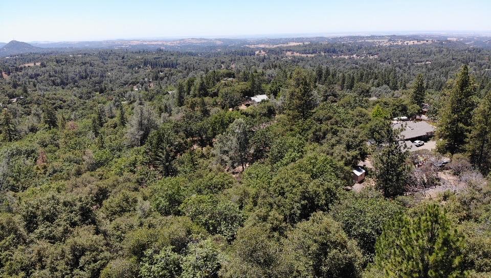 0 Bowman Road Pine Grove, CA 95665 - Photo 30 of 30