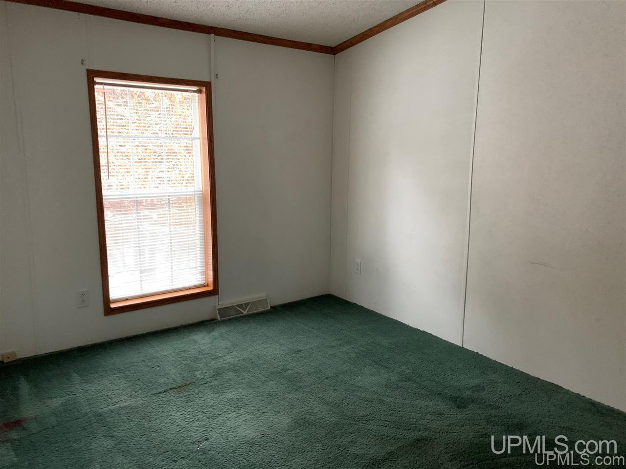 4414 10th Road Bark River, MI 49807 - Photo 6 of 16