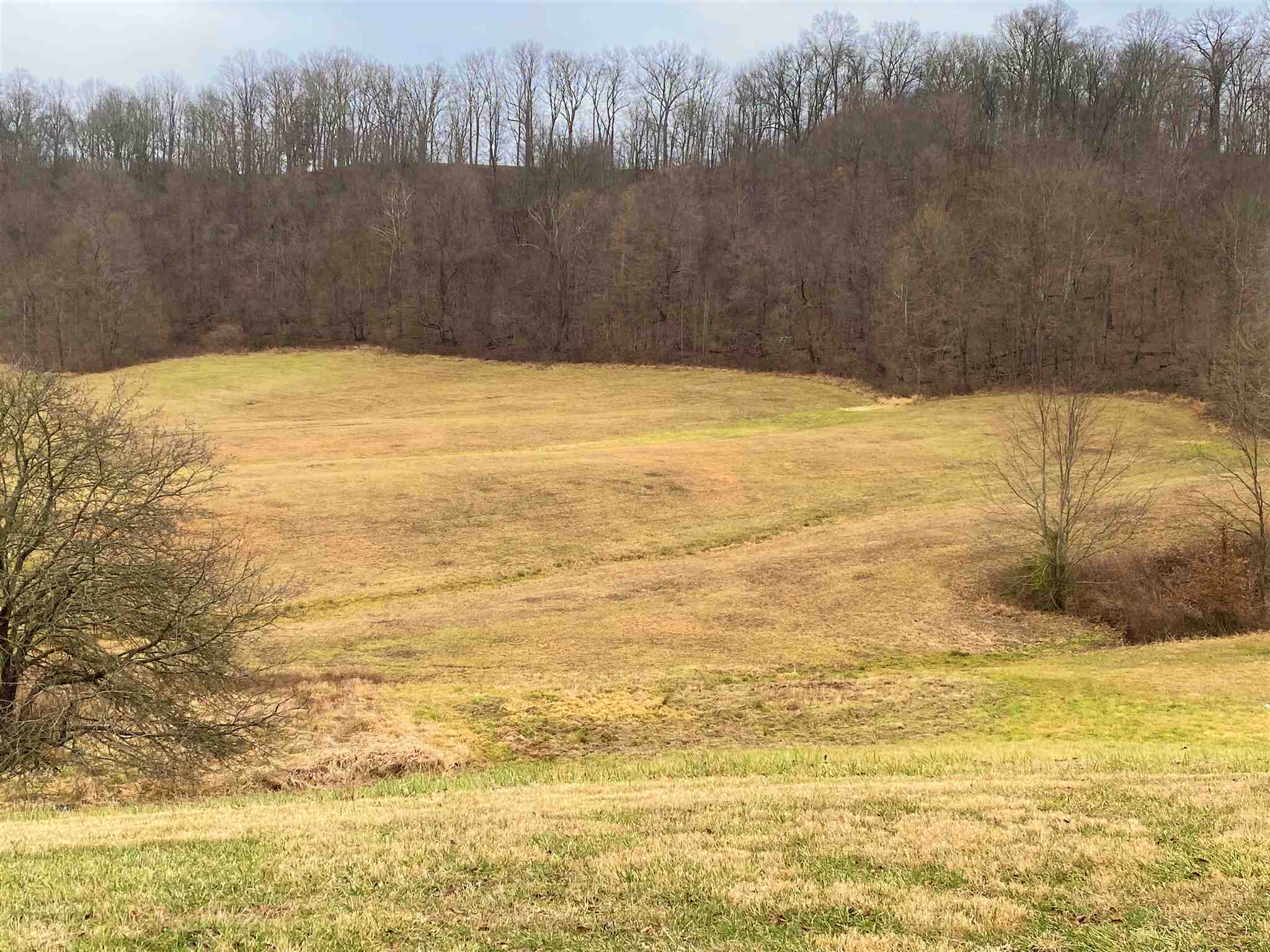3685 East Robinson Road Bloomington, IN 47408 - Photo 27 of 35