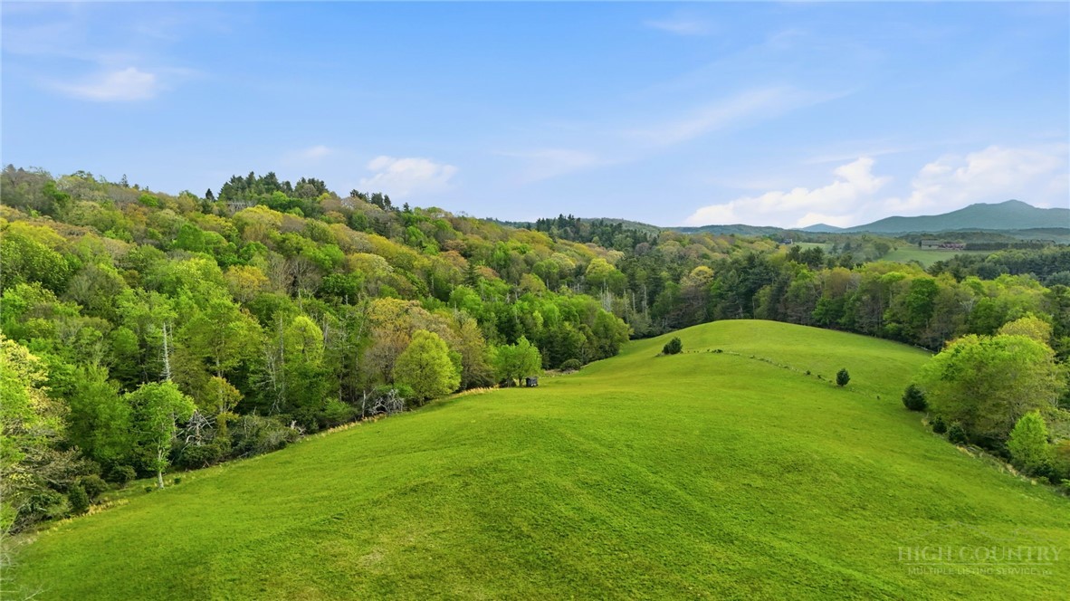 Sampson Road Boone, NC 28607 - Photo 6 of 13