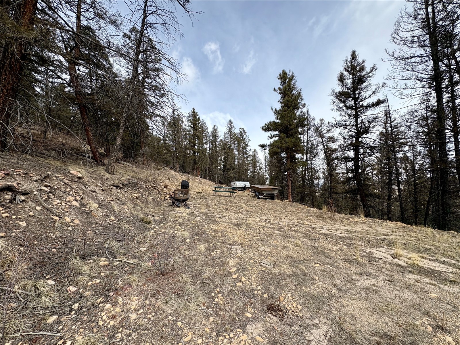 1445 Redhill Road Fairplay, CO 80440 - Photo 10 of 31 View of nature