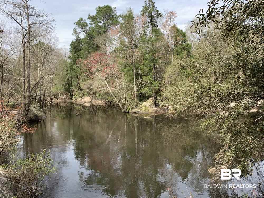 17525 Joe Gottler Road Elberta, AL 36530 - Photo 20 of 44