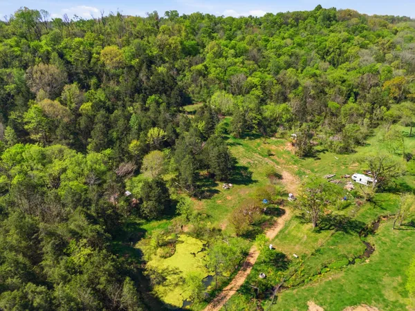 a view of a forest