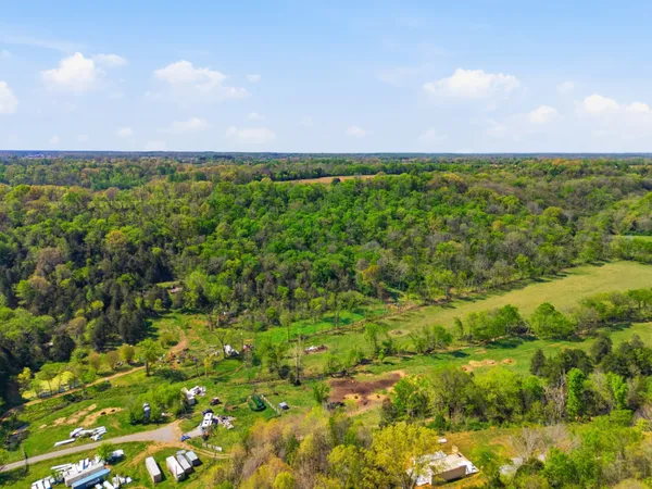 a view of a green field with lots of bushes