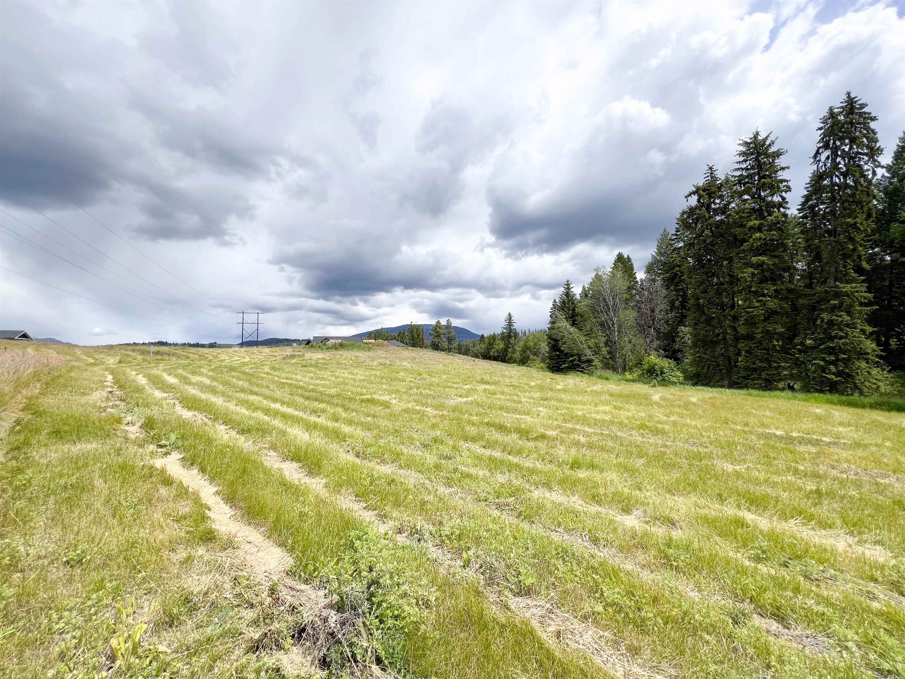 2082 Whitetail Way Colville, WA 99114 - Photo 5 of 18