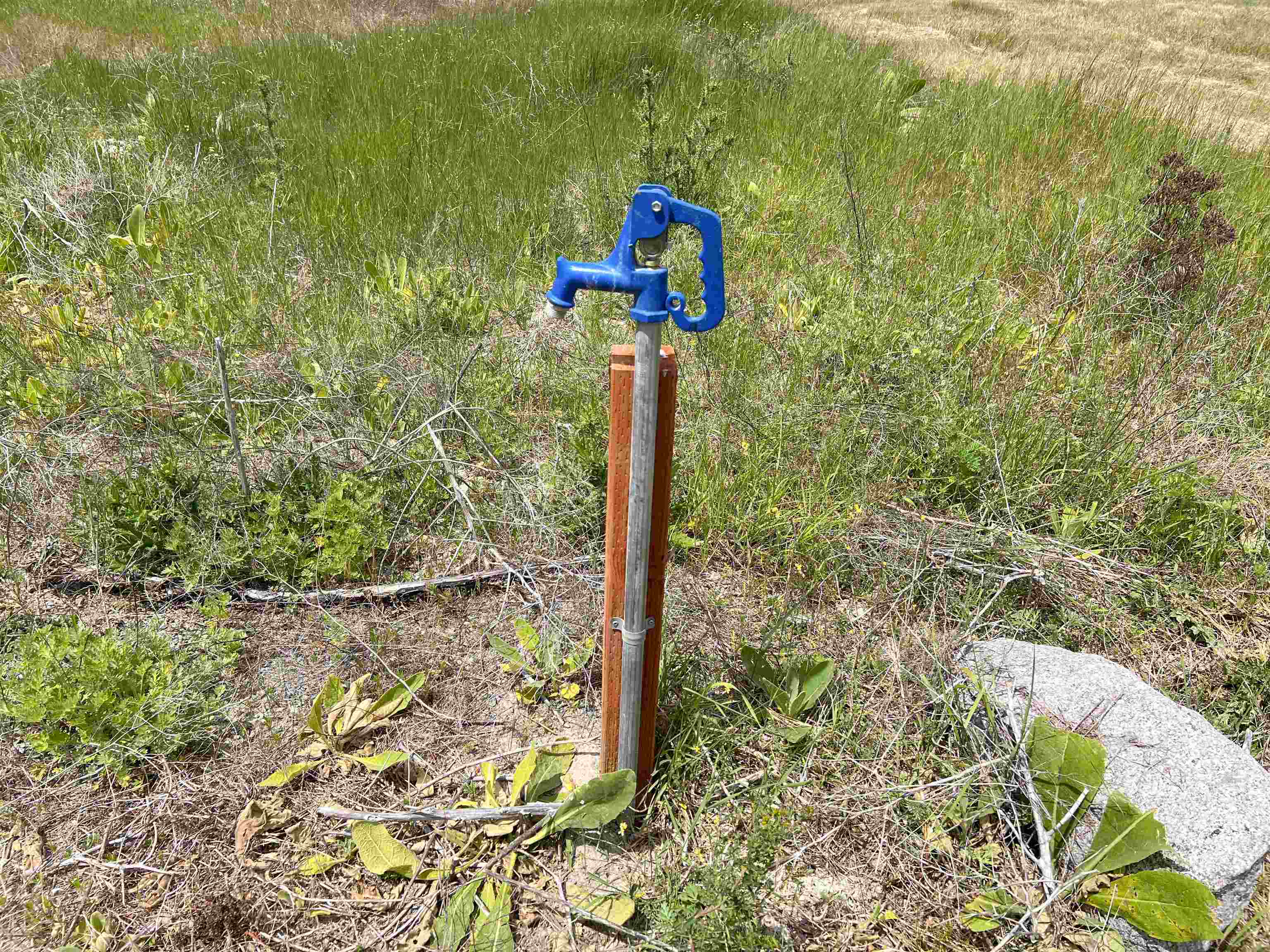 2082 Whitetail Way Colville, WA 99114 - Photo 7 of 18