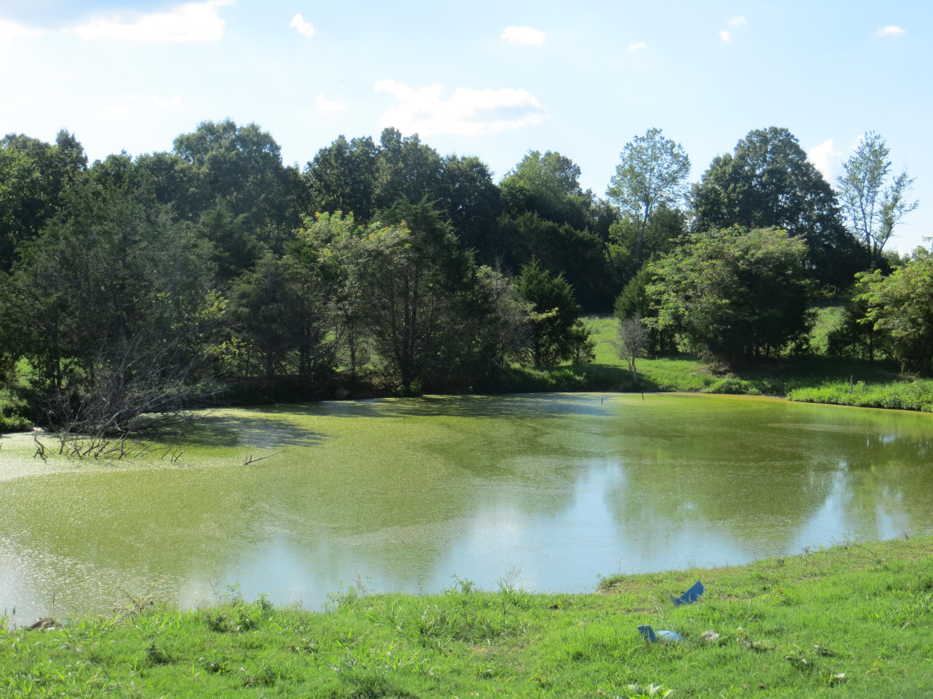 0 Katydid Road Camp, AR 72520 - Photo 1 of 1 IMG_0677