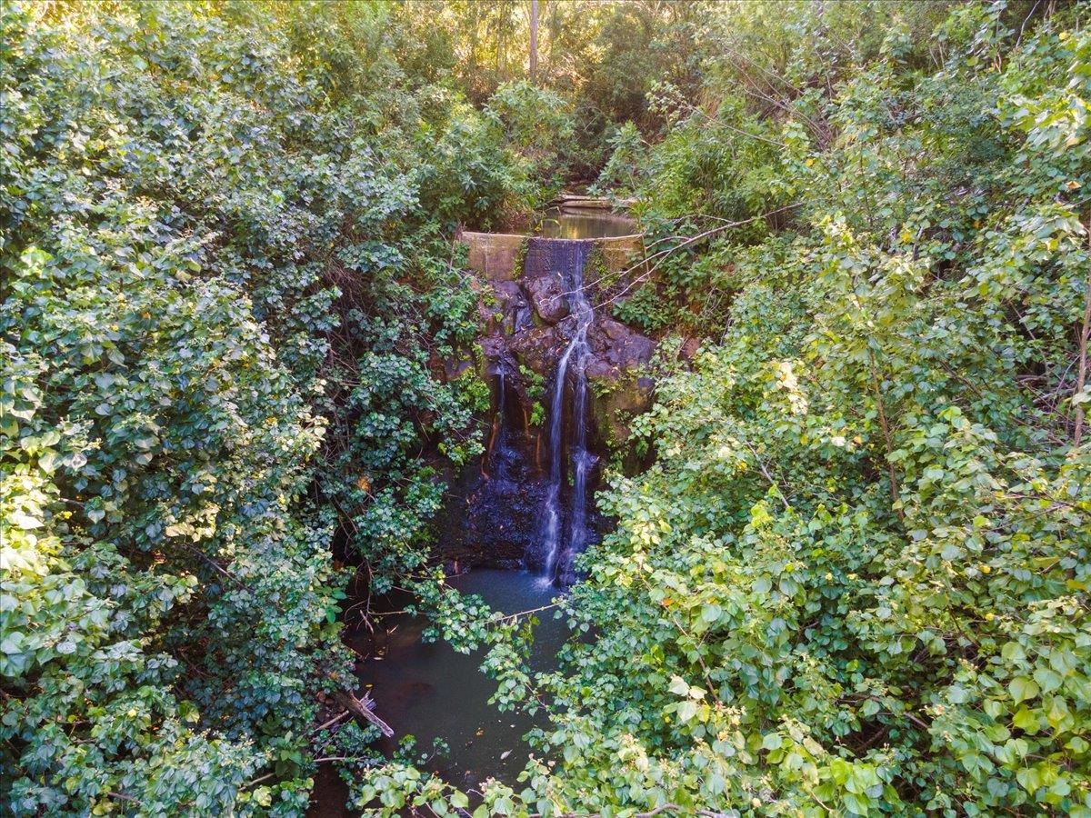 590 East Kuiaha Road Haiku, HI 96708 - Photo 5 of 42 a view of a garden with a tree