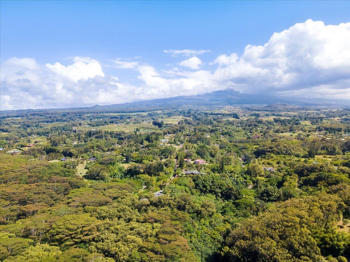 590 East Kuiaha Road Haiku, HI 96708 - Photo 7 of 42 a view of a city with lush green forest