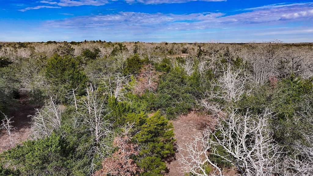 Tbd Wetjen Lane West Point, TX 78963 - Photo 23 of 24 Gallery Image 23