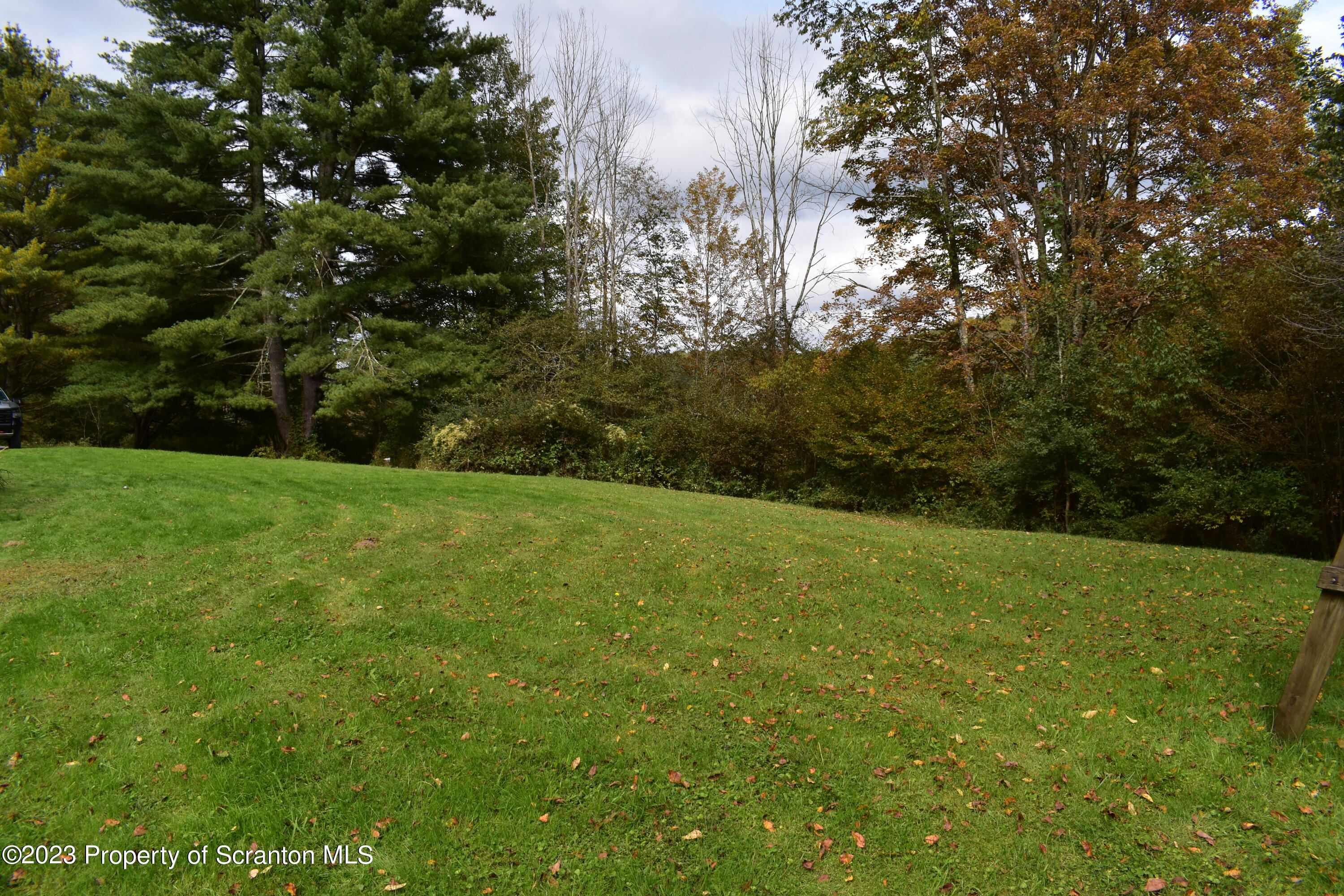 1258 Jennings Road Springville, PA 18844 - Photo 20 of 32 a view of yard with green space