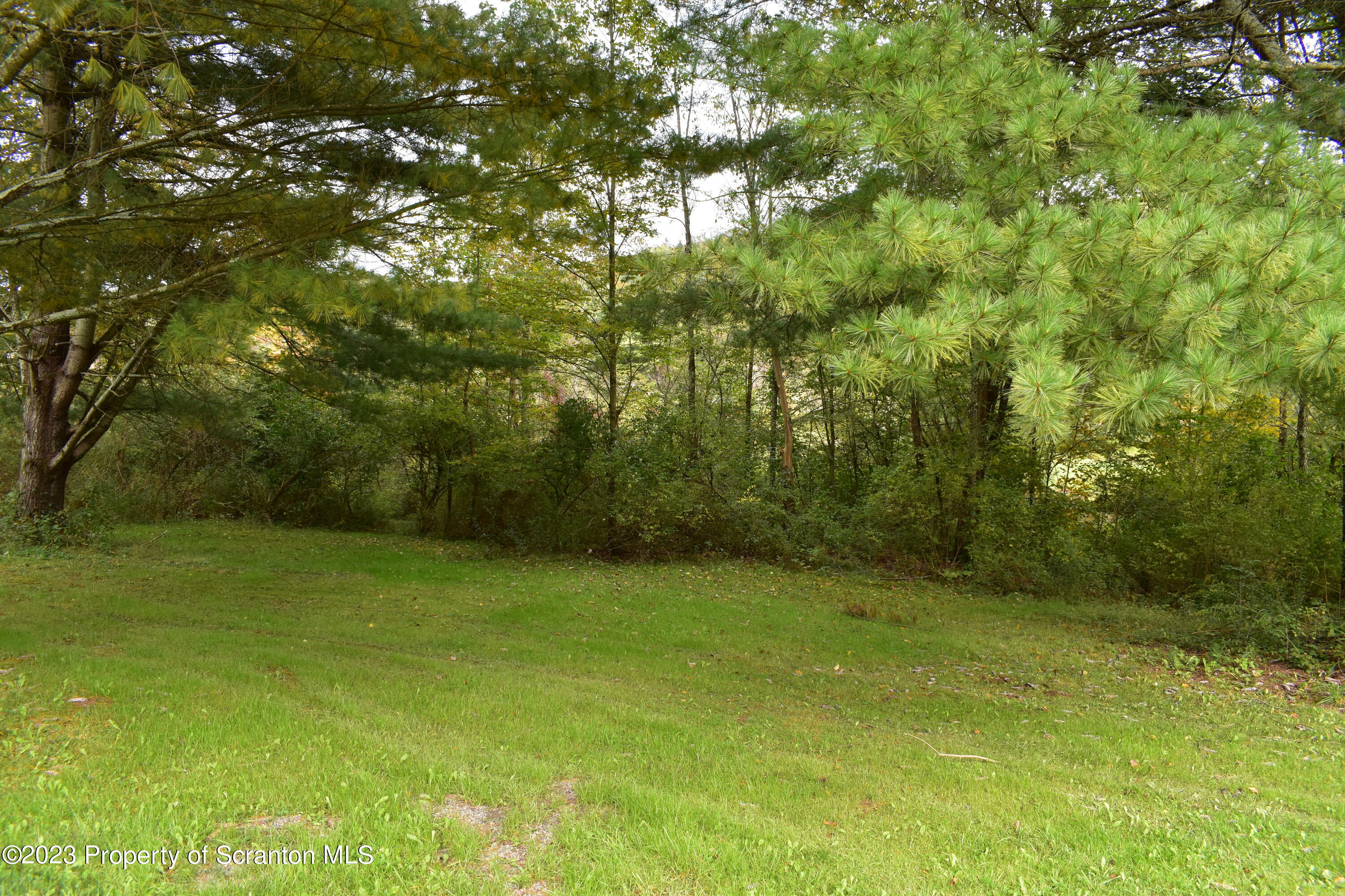 1258 Jennings Road Springville, PA 18844 - Photo 21 of 32 a view of a big yard with green space