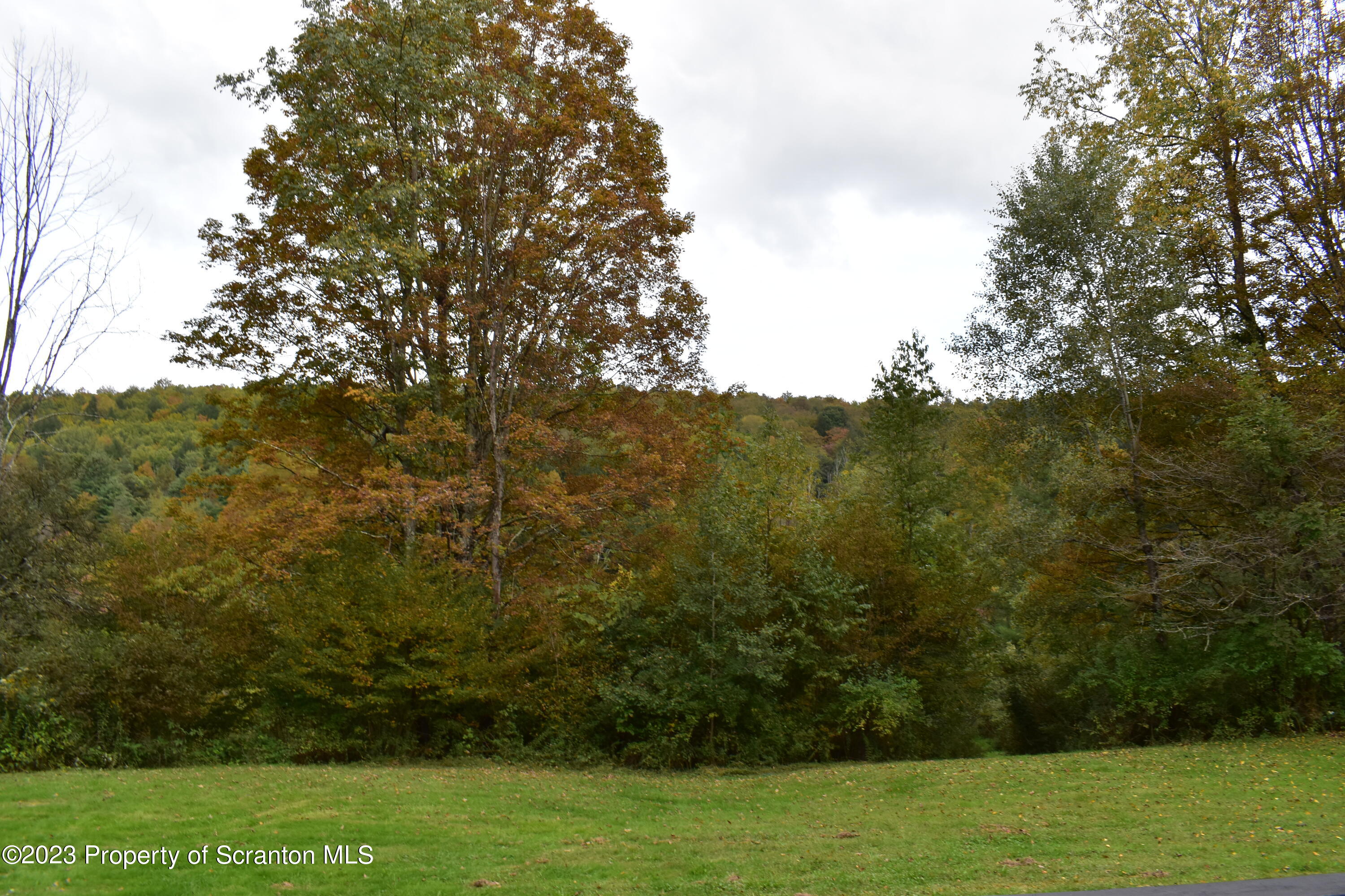 1258 Jennings Road Springville, PA 18844 - Photo 22 of 32 a view of a yard
