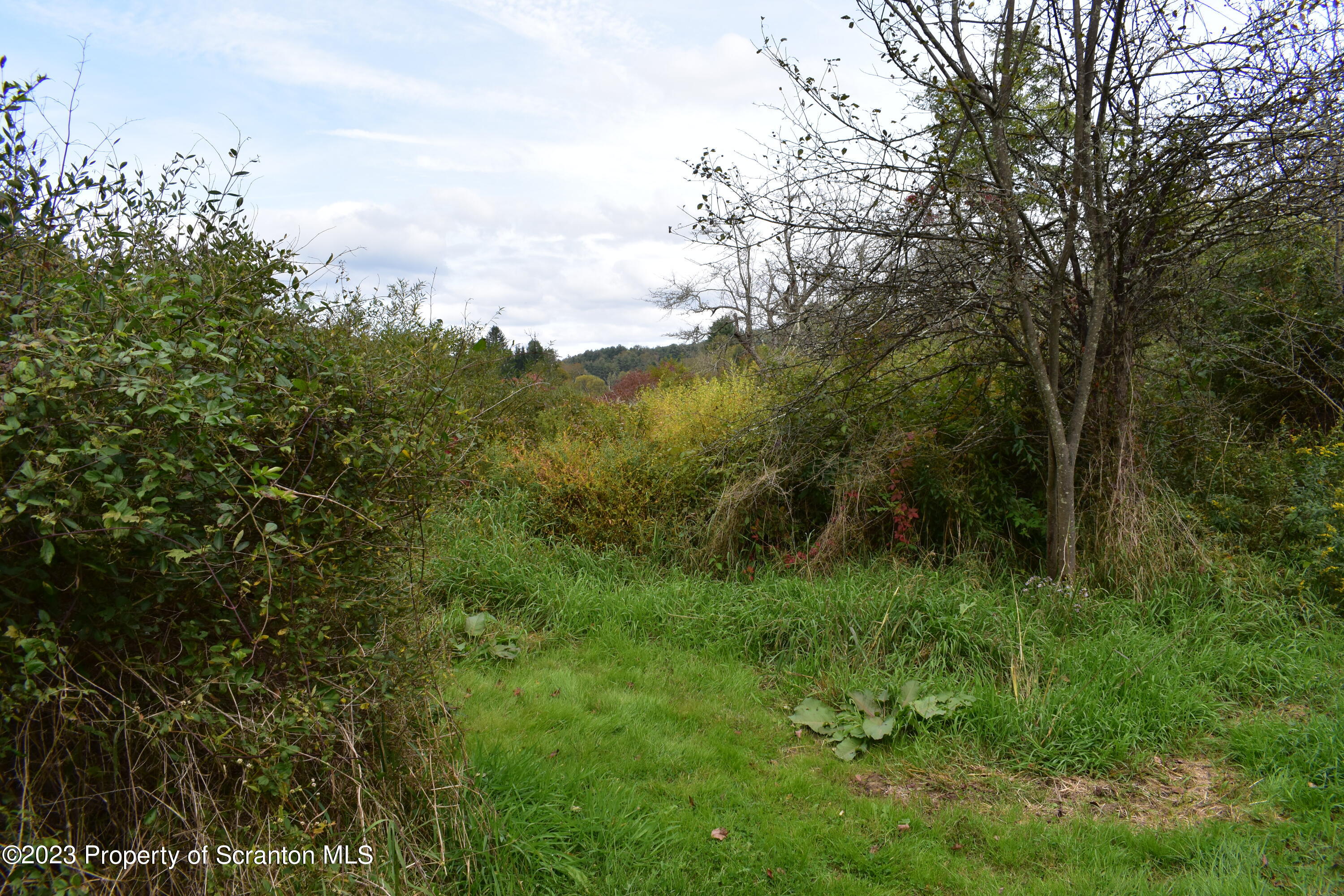 1258 Jennings Road Springville, PA 18844 - Photo 24 of 32 a view of a lush green space