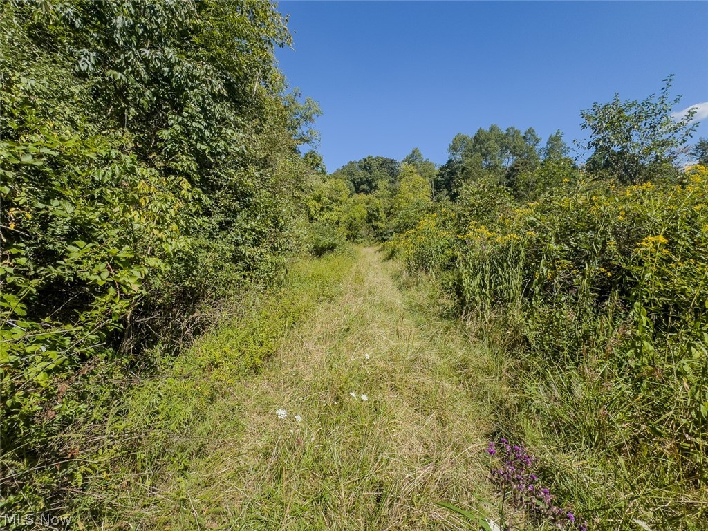 0 Brewer Road Cadiz, OH 43907 - Photo 8 of 37 View of undeveloped land